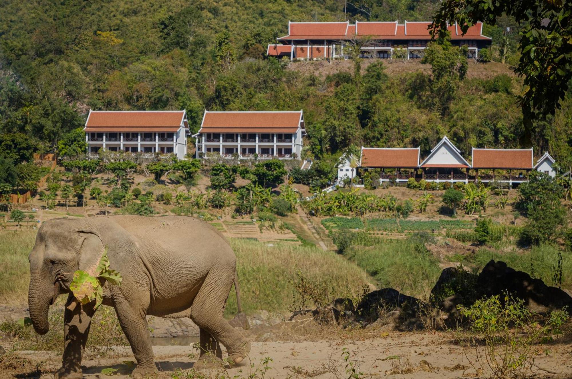 The Sanctuary Pakbeng Lodge Exterior photo
